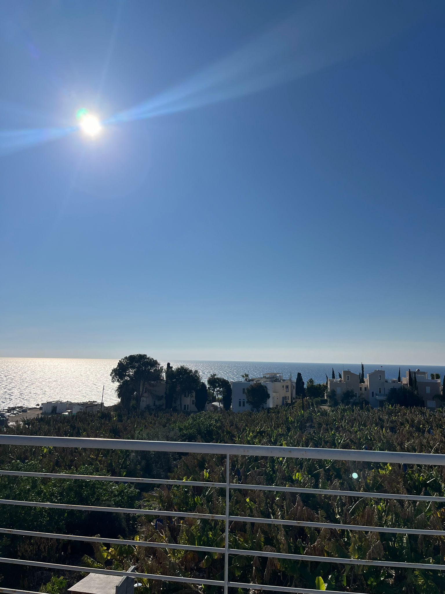 Rooftop view